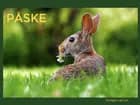 Påske