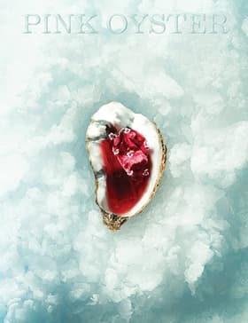 Pink Oyster af Jonas Harboe Frederiksen