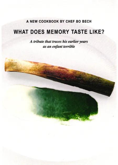 What does memory taste like ? af Bo Bech