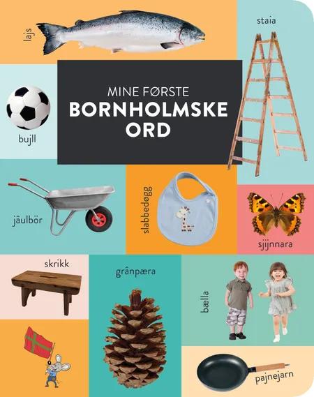 Mine første bornholmske ord af Pernille Boelskov
