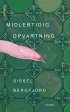 Midlertidig opvartning