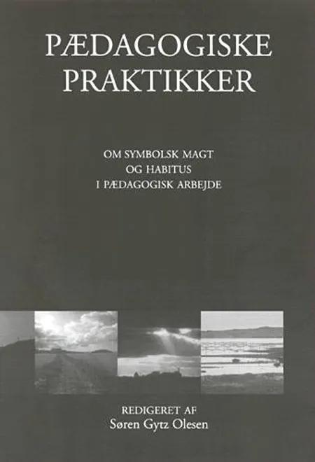 Pædagogiske praktikker af Ulf Brinkkjær