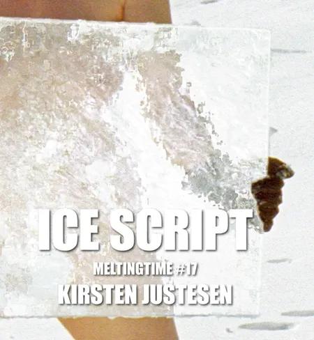 Ice script - meltingtime 17 af Kirsten Justesen