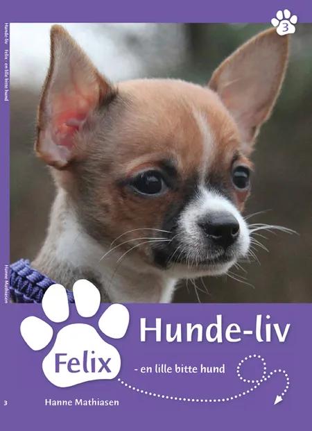 Felix, en lille bitte hund af Hanne Mathiasen