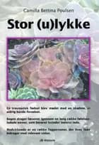 Stor (u)lykke