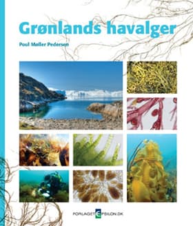 Grønlands Havalger af Claus Rye Schierbeck