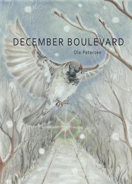 December Boulevard af Ole Petersen