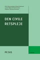Den civile retspleje