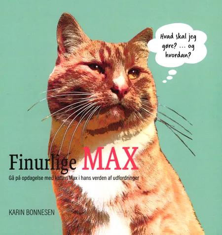 Finurlige MAX af Karin Bonnesen