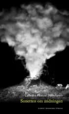 Sonetten om andningen af Caterina Pascual Söderbaum