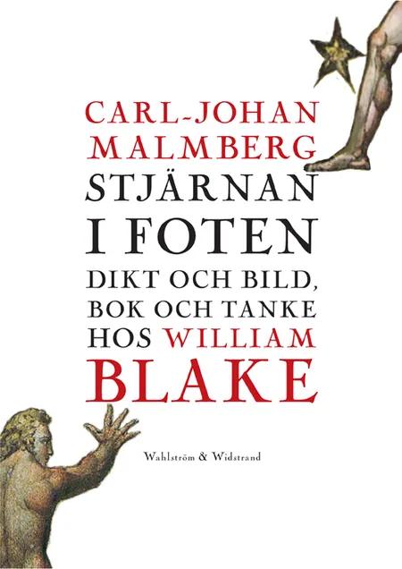 Stjärnan i foten af Carl-Johan Malmberg