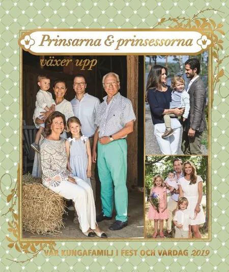 Vår kungafamilj i fest och vardag 2019 : prinsarna och prinsessorna växer upp af Mattias Pettersson