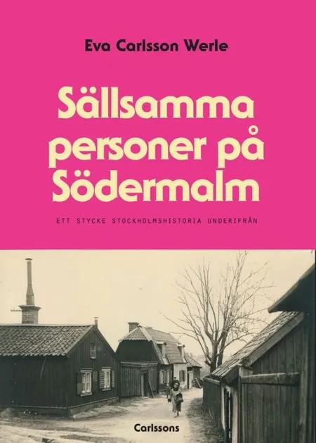 Sällsamma personer på Södermalm : ett stycke Stockholmshistoria underifrån af Eva Carlsson Werle