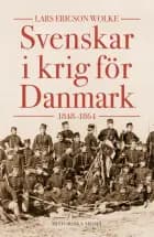 Svenskar i krig för Danmark : 1848-1864