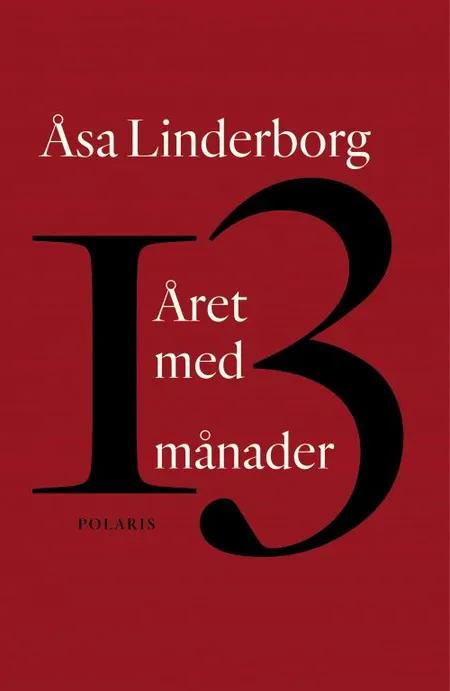 Året med 13 månader : en dagbok af Åsa Linderborg
